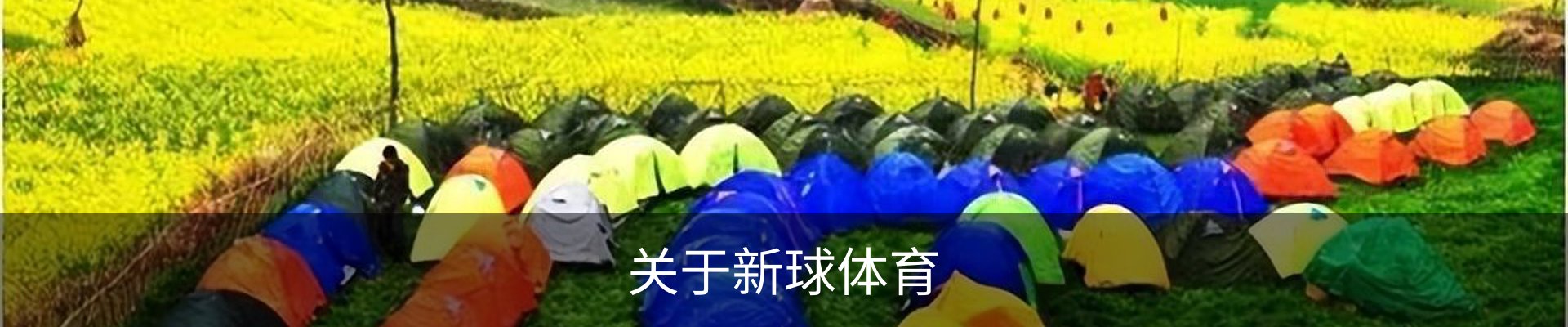关于新球体育