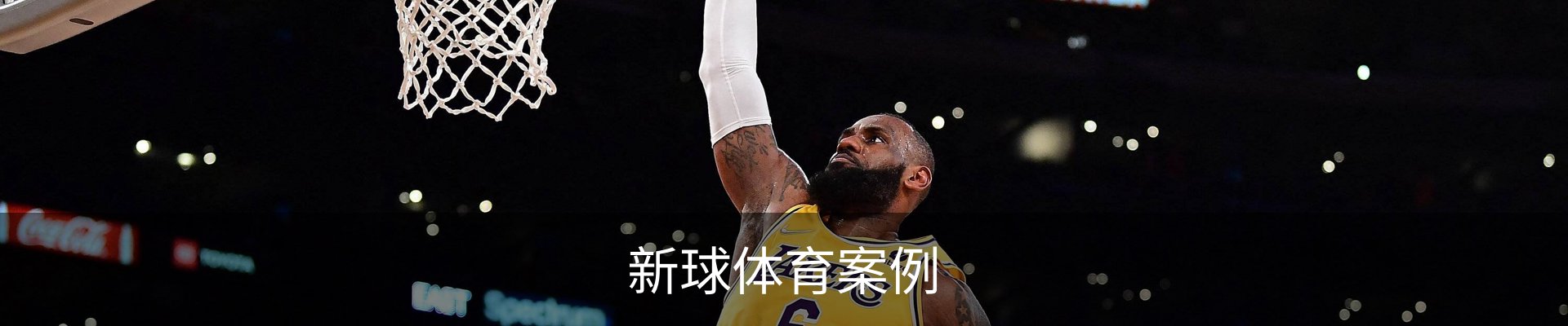 新球体育案例