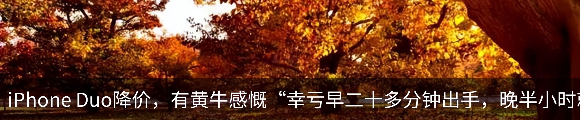 资讯中心